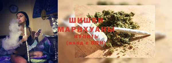 индика Кинешма
