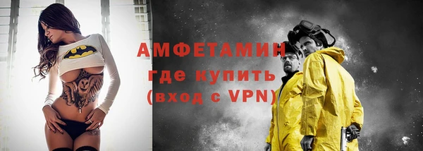 индика Кинешма