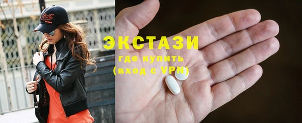 индика Кинешма