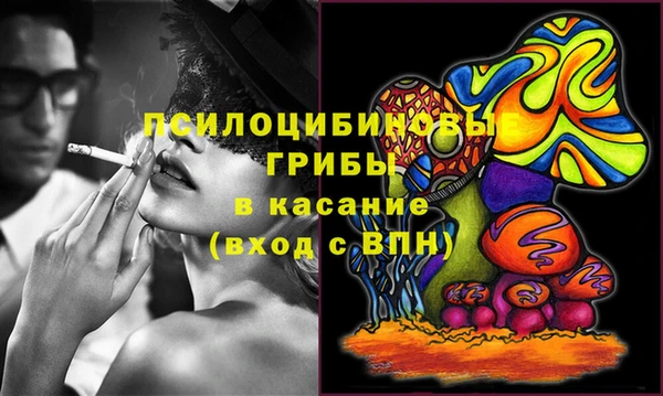 индика Кинешма