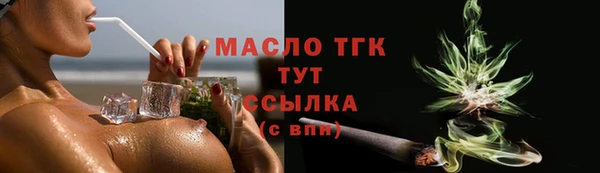 индика Кинешма