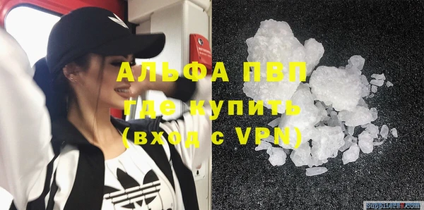индика Кинешма