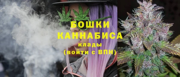 индика Кинешма
