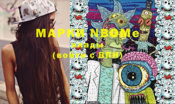 индика Кинешма