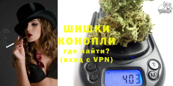 индика Кинешма