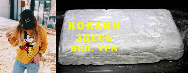 индика Кинешма