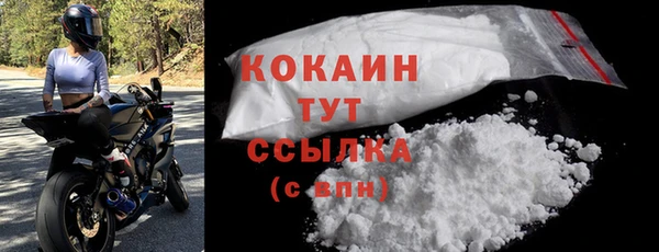 индика Кинешма