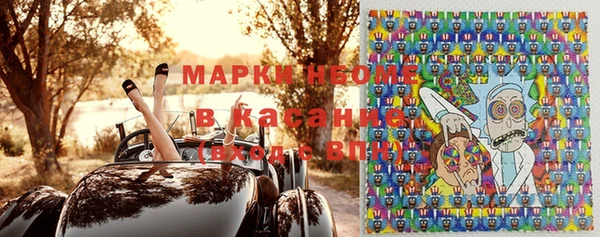 индика Кинешма