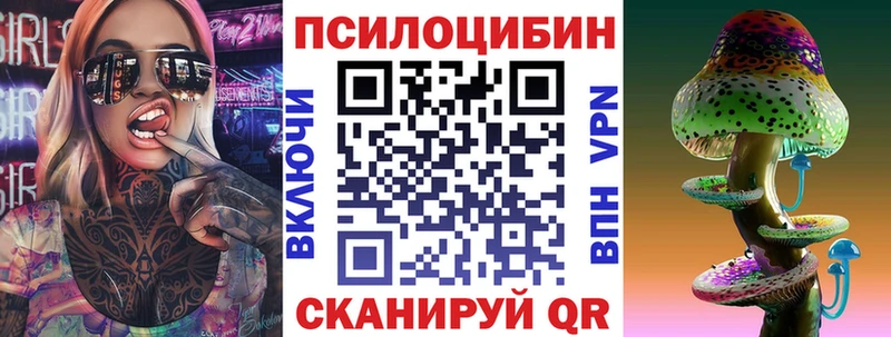 Купить закладки  Пошехонье  Псилоцибиновые грибы мицелий 