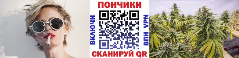 Купить закладки  Пошехонье  Каннабис LSD WEED 